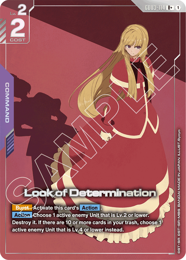 Look of Determination