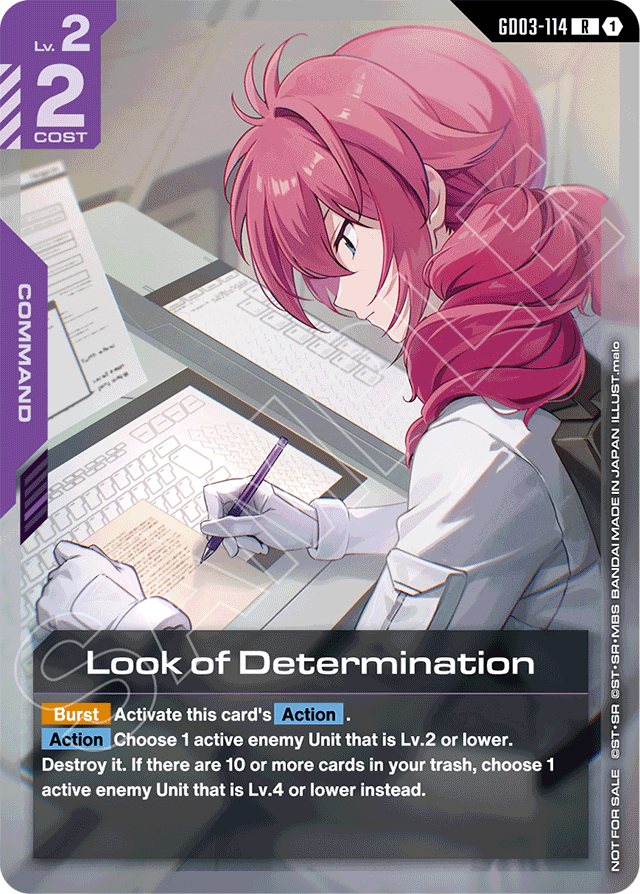 Look of Determination